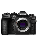 Used mirrorless